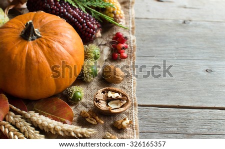 Pumpkins, corn cob, wheat spikes, nuts, acorns, leaves and berries on wooden background