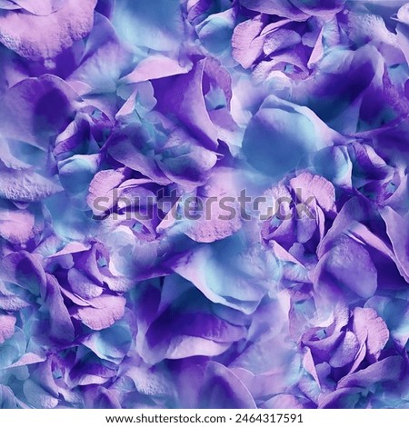 Similar – Image, Stock Photo romantic pink purple flowers in the garden in springtime