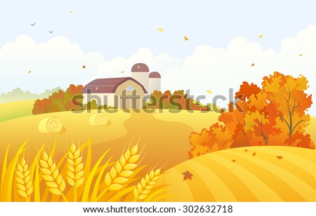 Vector cartoon illustration of a beautiful fall farm scene with wheat fields and barns