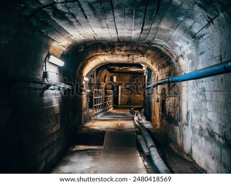 Similar – Image, Stock Photo Dark tunnel illuminated by red neon light