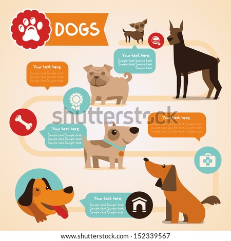 Vector set of infographics design elements - dogs and pets in flat style