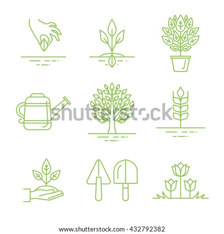 Vector set of gardening icons and linear illustrations - growing sprouts and plants from the seed to the tree - gardening tools and concepts
