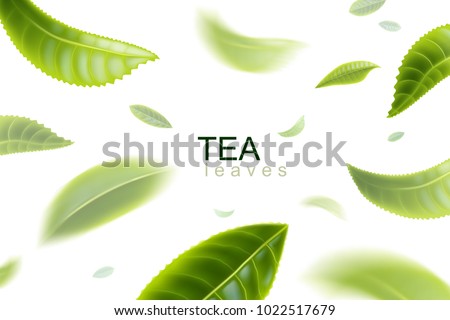 Green tea. Tea leaves whirl in the air. Tea leaves in motion on a white background. Element for design, advertising, packaging of tea products Vector illustration.