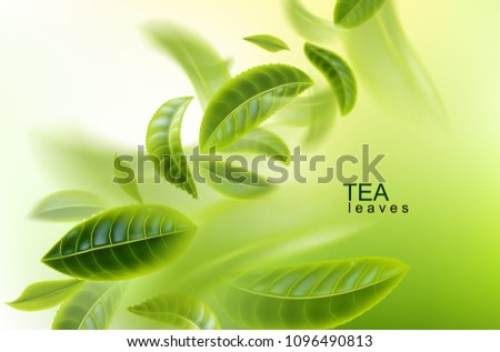 Green tea background. Tea leaves whirl in the air. Tea leaves in motion. Element for design, advertising, packaging of tea products Vector illustration.