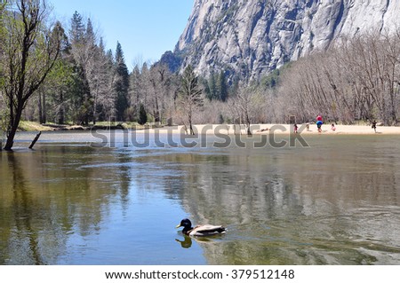 Swinging Bridge Picnic Area Yosemite National Park Usa