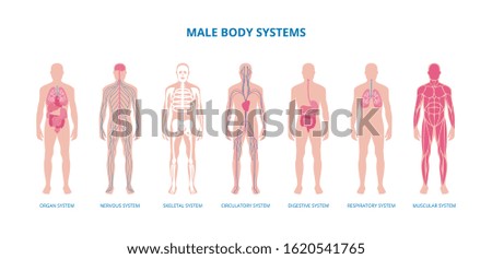 male body images - USSeek