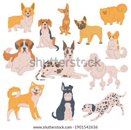 Set of cartoon purebred dogs. Funny puppies different breeds, loyal and friendly pets, domestic animals with pedigree. Flat vector illustration isolated on white background.