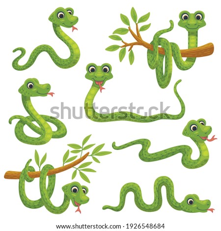 Set of cartoon green snake in various poses. Cute smiling animals, funny reptile of wild tropical nature. Flat vector isolated illustrations for kids design.