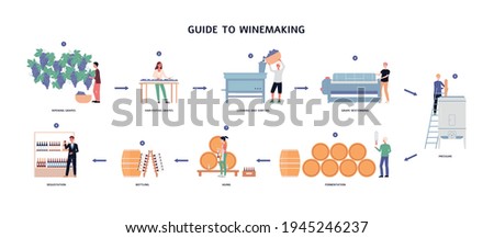 Guide to winemaking process - from ripening grapes to natural wine. Foto stock © 