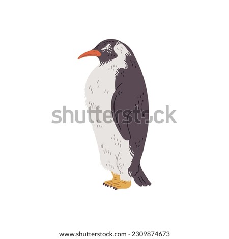 Penguin sea bird, hand drawn flat vector illustration isolated on white background. Aquatic flightless bird. Concepts of nature and wildlife.
