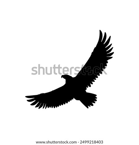 Bald Eagle black silhouette icon. American eagle wild bird of prey soaring. Falcon or hawk carnivore avian animal flight up vector outline illustration isolated on white