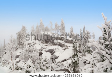 Rock ridge in winter forest on the slopes of the ski resort of Ruka.