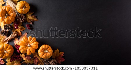 Thanksgiving background decoration from dry leaves,red berries and pumpkin on blackboard background. Flat lay, top view with copy space for Autumn, fall, Thanksgiving concept.