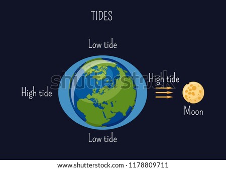Low and high lunar tides diagram. Effect of Moon gravitational force on seacoast water level. Astronomy, geography science for kids. Cartoon style vector illustration. 