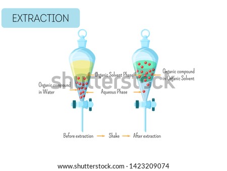 Chemical extraction of organic compound from water solution to organic solvent diagram. Educational chemistry for kids. Cartoon style vector illustration. 