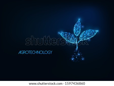 Futuristic agrotechnology, agriculture concept with glowing low polygonal plant sprout with three leaves in soil isolated on dark blue background. Modern wire frame mesh design vector illustration. 