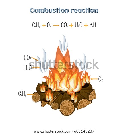 Combustion reaction - wood burning at fire camp. Types of chemical reactions, part 5 of 7. Educational chemistry for kids. Cartoon vector illustration in flat style. 