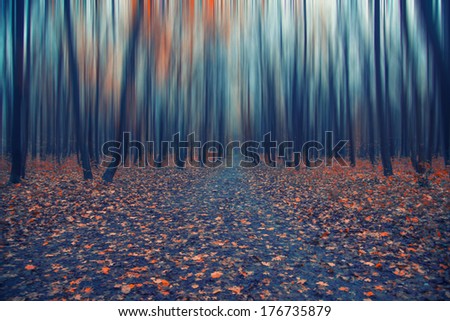 magic forest,abstract  motion blur background,nature background