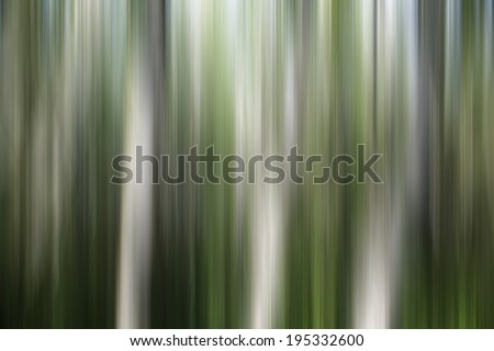 abstract  forest ,abstract nature forest,artistic background