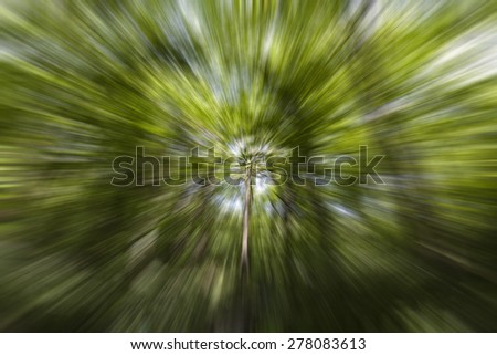 path in the green forest ,abstract natural background