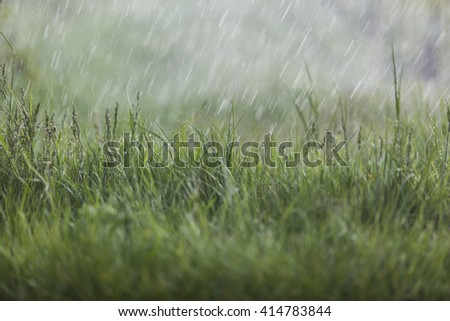 rain on the green grass coloring pages - photo #35