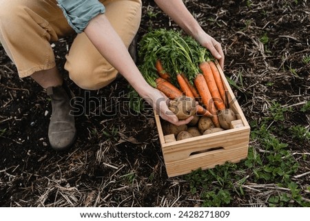 Similar – Image, Stock Photo Homegrown organic potatoes in a basket on wooden floor