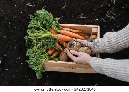 Similar – Image, Stock Photo Homegrown organic potatoes in a basket on wooden floor