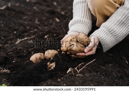 Similar – Image, Stock Photo Workers are planting potatoes on the field. Automation of the process of planting potato seeds. Agricultural technologies. Agroindustry and agribusiness. New technological solutions to simplify work.