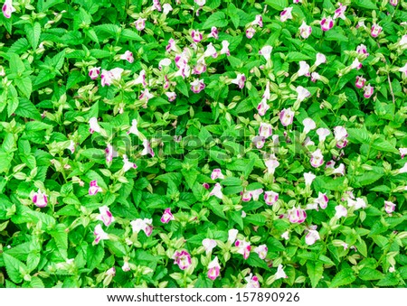 purple flower pattern and green leaves surface