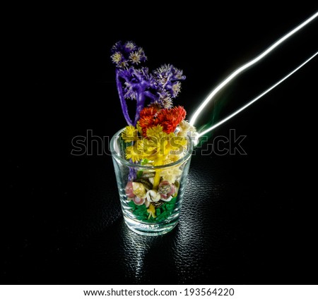 colorful little flower on black background with light painting streaks