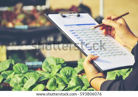 Similar – Image, Stock Photo Farmer controlling quality of Marijuana drying buds. Organic Cannabis Sativa Female Plants with CBD