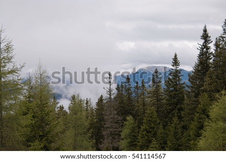 Similar – Image, Stock Photo Styrian limestone peak with small cloud