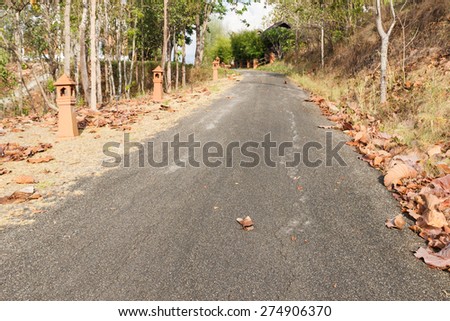 road in the forest covered with dried leaves in autumn