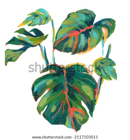 Watercolor Monstera leaves on white background. Tropical leaves.