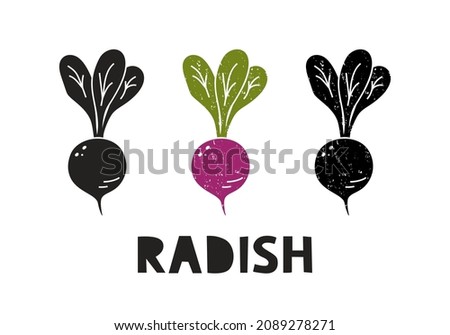 Radish, silhouette icons set with lettering. Imitation of stamp, print with scuffs. Simple black shape and color vector illustration. Hand drawn isolated elements on white background