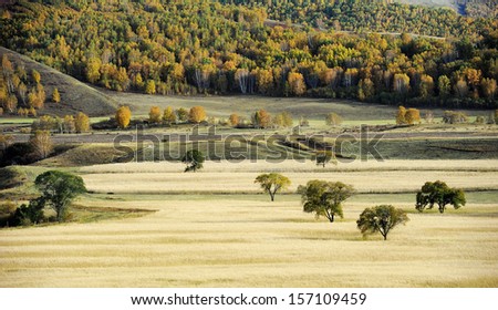 Autumn scenery in upland field