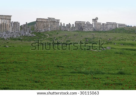 Afamea, Syria, panorama. Ruins of an old city Ruins of an old city. III century BC One of the most interesting monuments of Syria.