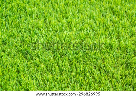 green grass. natural background texture.artificial Grass\
green