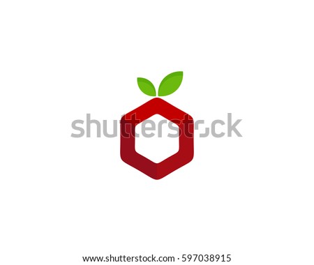 Fruit Box Logo Design Element