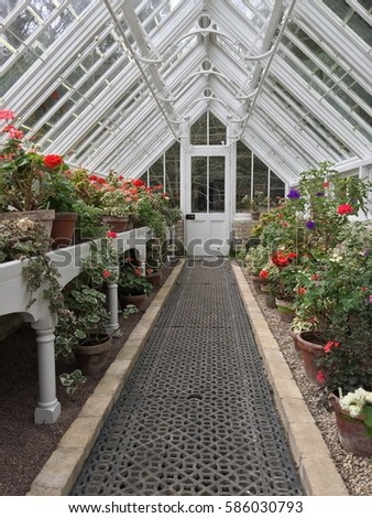 Similar – Image, Stock Photo greenhouse Heligan