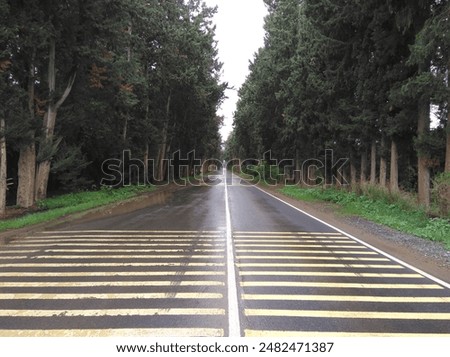 Similar – Foto Bild Leere Asphaltstraße inmitten eines schneebedeckten Feldes unter einem Himmel mit Nordlicht