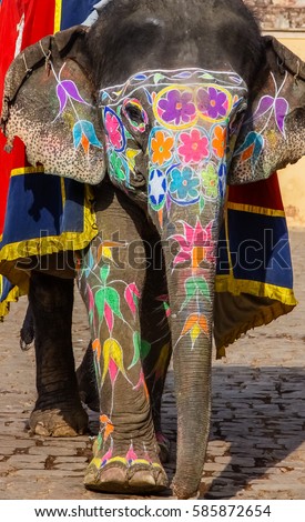 Image, Stock Photo Elephant eye with painted flowers