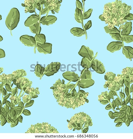 Seamless pattern with sedum, succulent and stonecrop