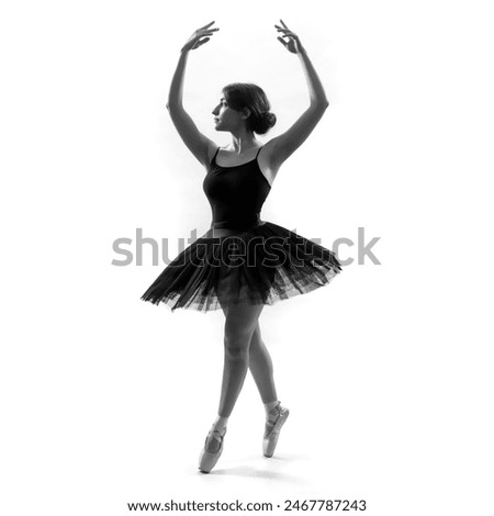 Similar – Image, Stock Photo Graceful ballerina and her male partner dancing elements of classical or modern ballet in dark with floodlight backlight. Couple in smoke on black background. Art concept.
