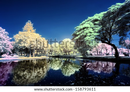 Colorful trees and lake. Taken at ITS Campus lake, Surabaya, east Java, Indonesia. shot with DSLR infrared modified.