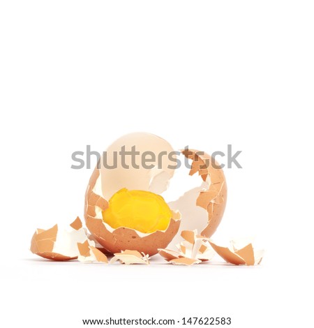Fresh hard boiled egg yolk with shell beside