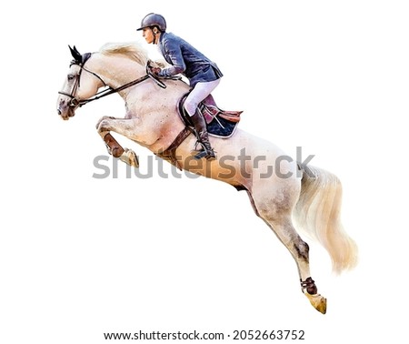 Jockey on horse. White Horse. Champion. Horse riding. Equestrian sport. Jockey riding jumping horse. Poster. Sport. White background. Isolated watercolor Illustration Сток-фото © 