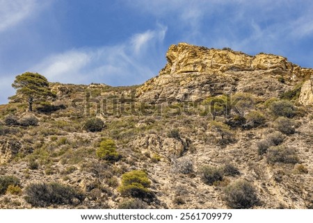 Similar – Image, Stock Photo Rocky hillside near ocean under cloudy sky