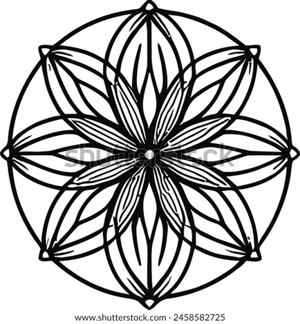 Flower of life drawing in vector