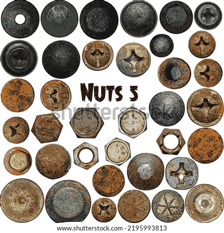 Vector set of nuts collection